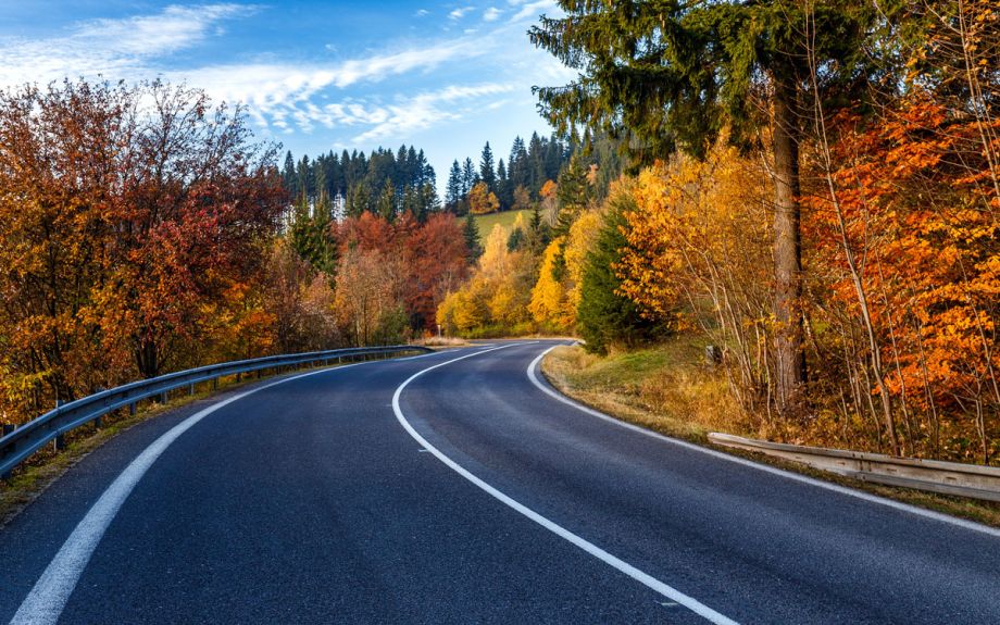 Landstraße und Bäume im Herbst